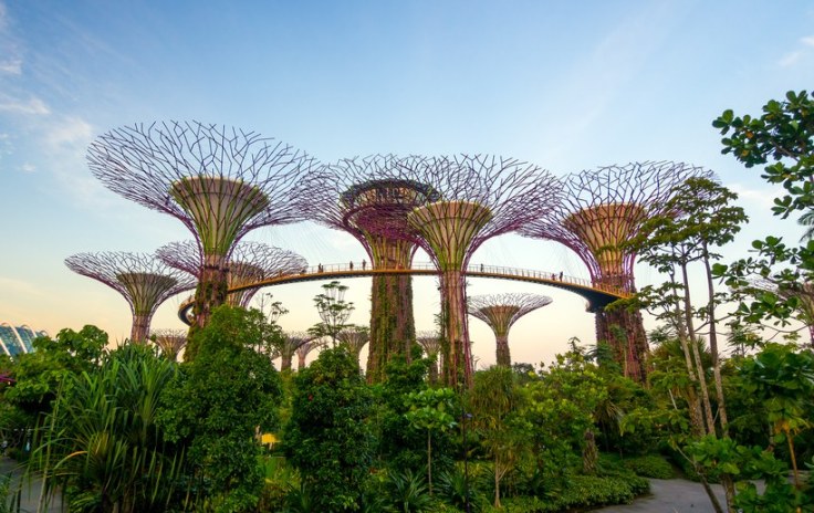 Supertree Grove, Singapore